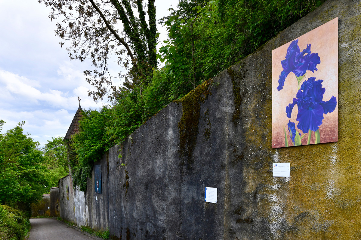 Die Freilichtgalerie in Breisach am Rhein